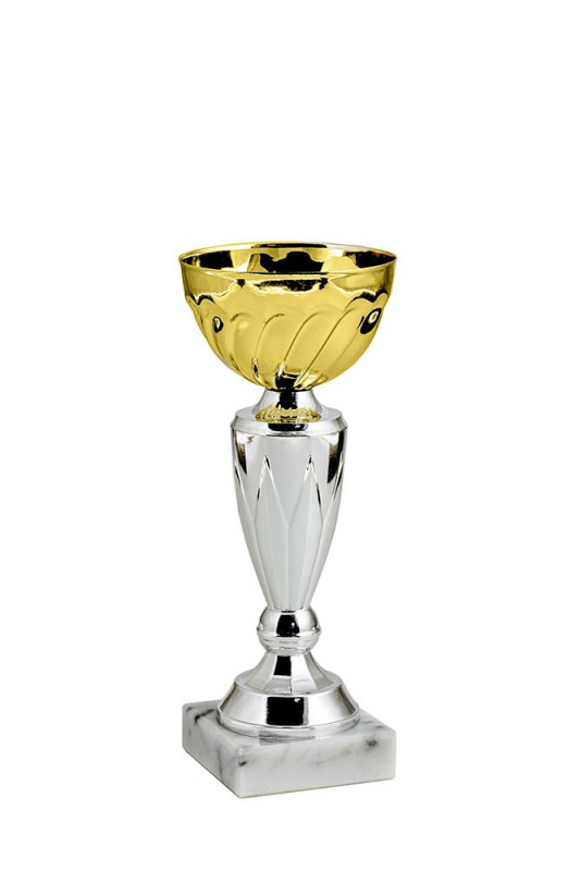 387-190-80 кубок