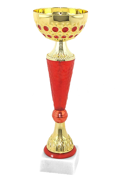 03-319-01 кубок 35 см