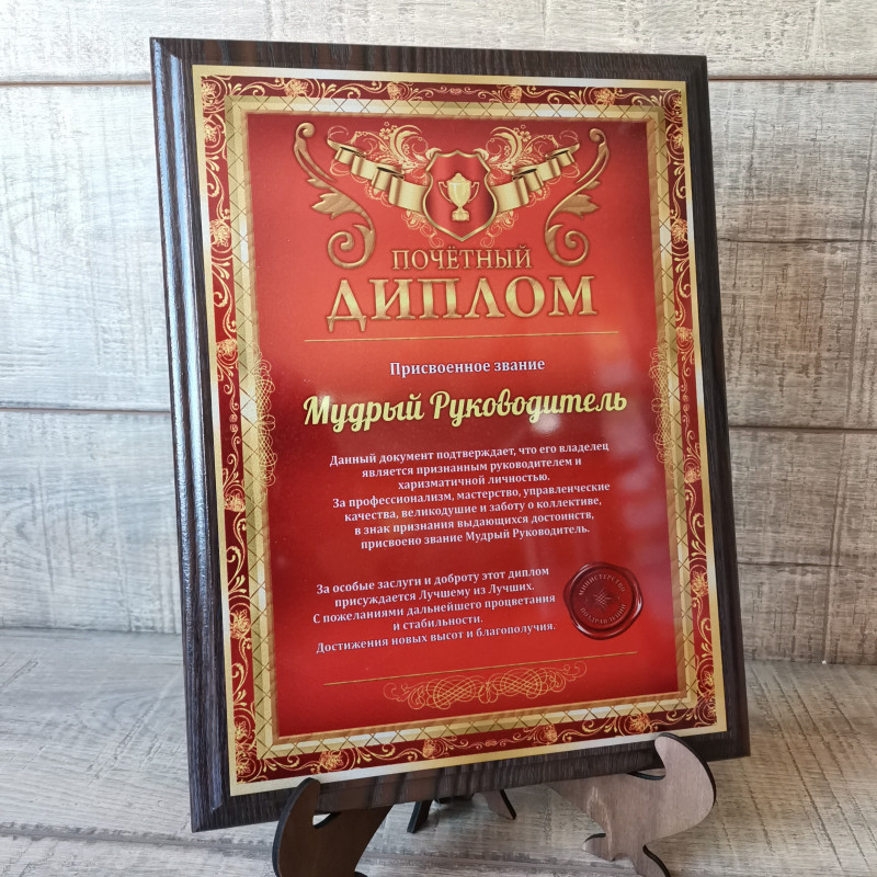 pl001 плакетка Диплом "Мудрый руководитель"