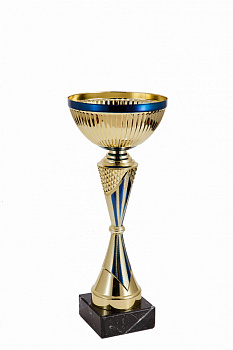 304-290-120 кубок