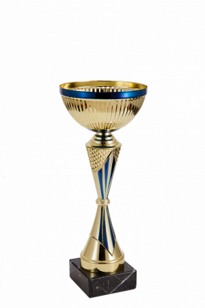 304-290-120 кубок