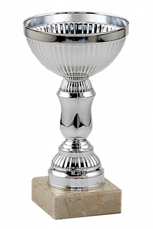 010-150-80 кубок