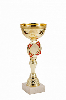 302-210-80 кубок