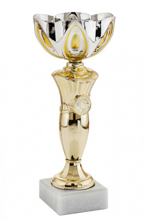 356-270-120 кубок