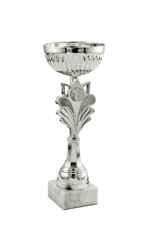 368-240-100 кубок