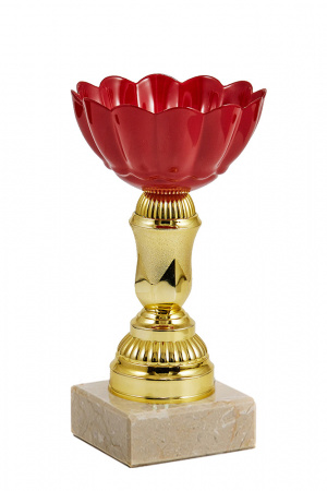 124-140-80 кубок