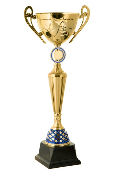519-430-120 кубок