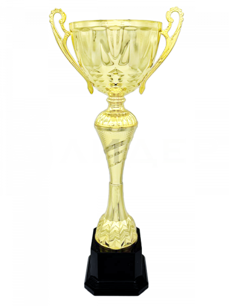 03-400-01 кубок 46 см