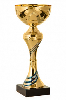224-230-100 кубок