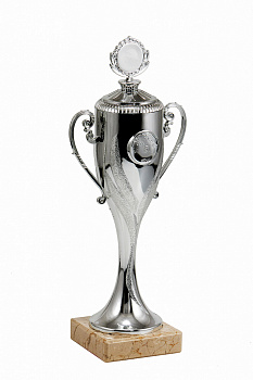 106-270 кубок (серебро)
