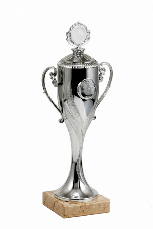 106-270 кубок (серебро)