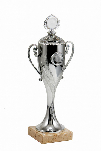 106-270 кубок (серебро)