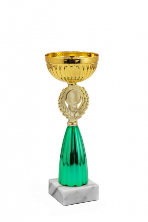 128-270-100 кубок