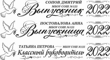 007 Лента выпускнику именная сатиновая