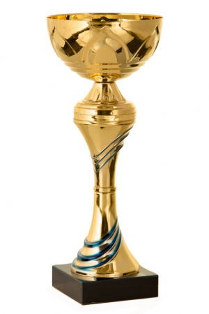 224-250-100 кубок