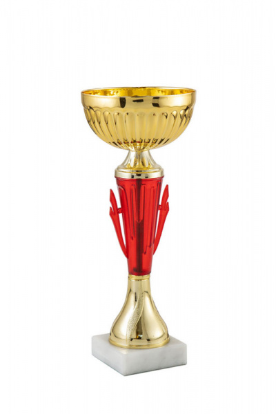 369-240-100 кубок
