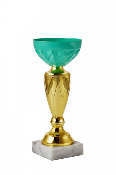 373-190-80 кубок