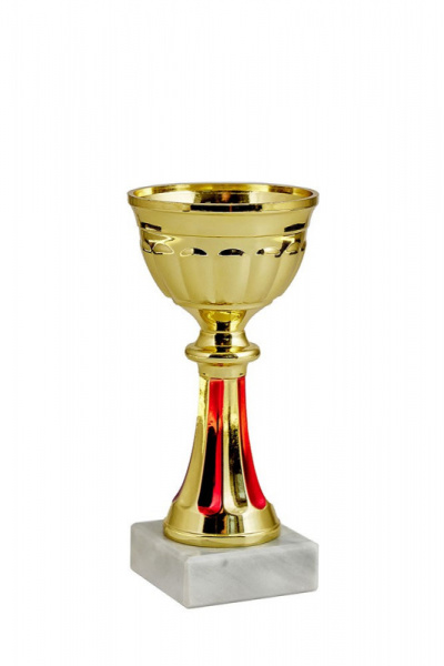 377-140-70 кубок
