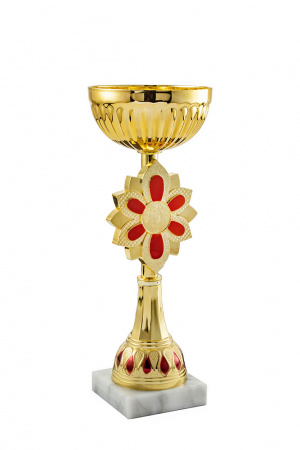 367-260-100 кубок