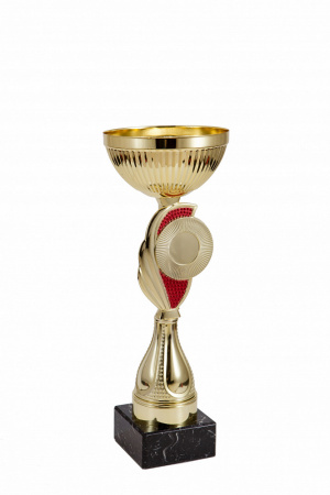 309-270-100 кубок