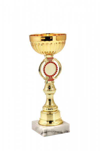 428-210-80 кубок
