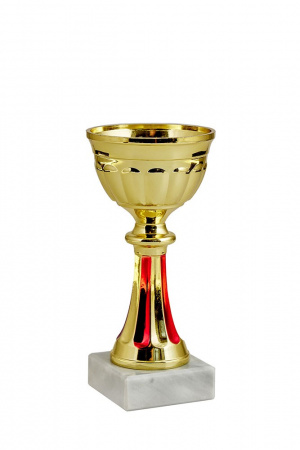 377-140-70 кубок