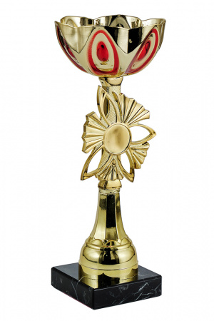346-250-100 кубок
