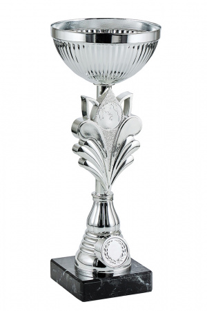 345-240-100 кубок