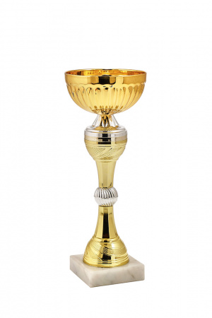 391-250-100 кубок
