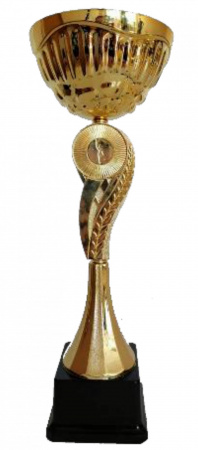 2001-370 гр а кубок