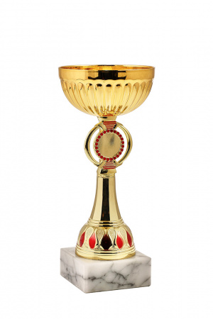 427-220-100 кубок