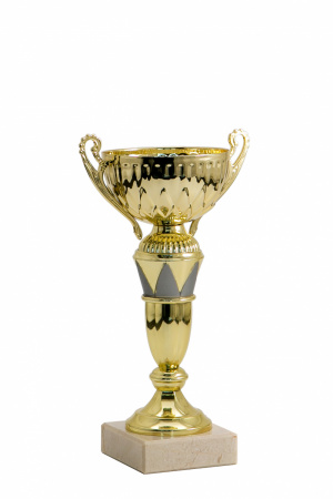014-210-80 кубок