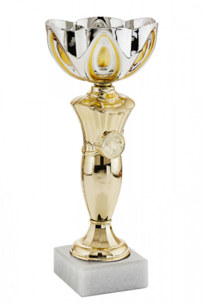 356-270-120 кубок